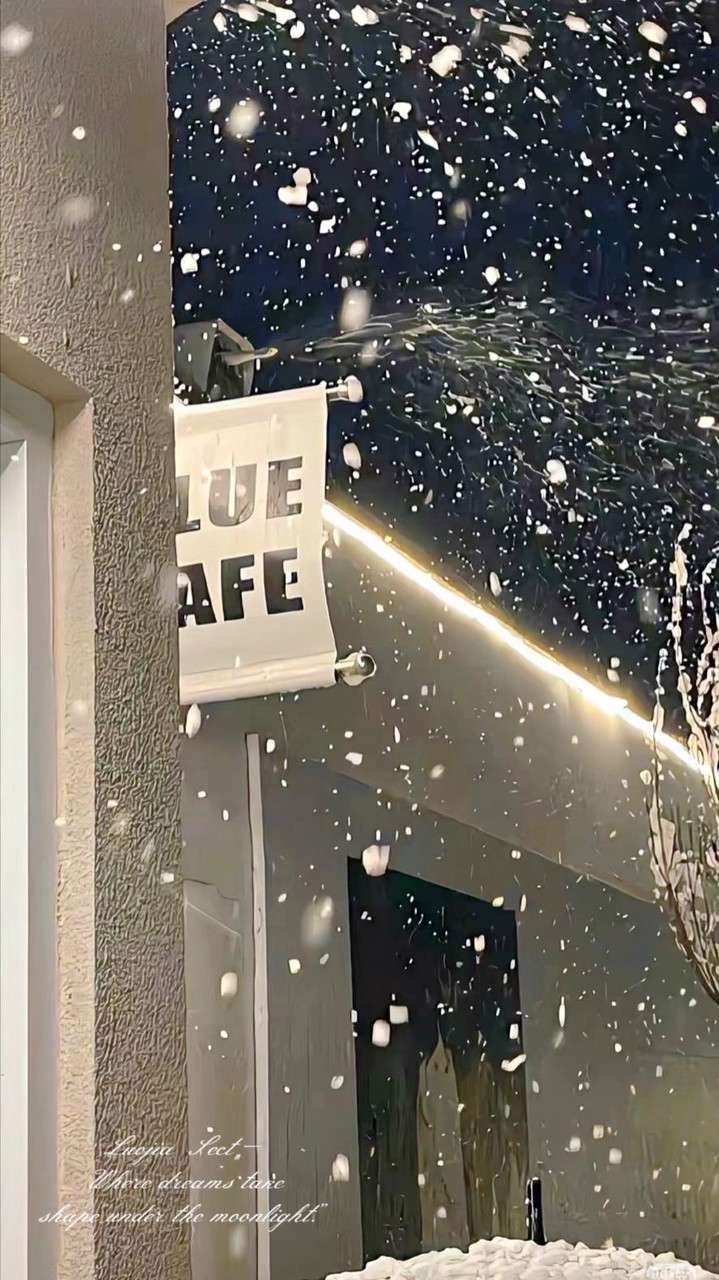 ଘ 洛 笙 悠 然 觀察 ଓ