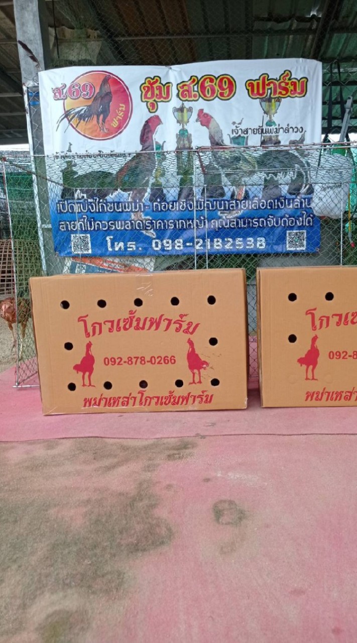 ซุ้ม ส.69 ฟาร์ม