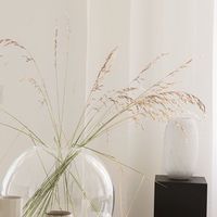 MY DAY 新品看貨群