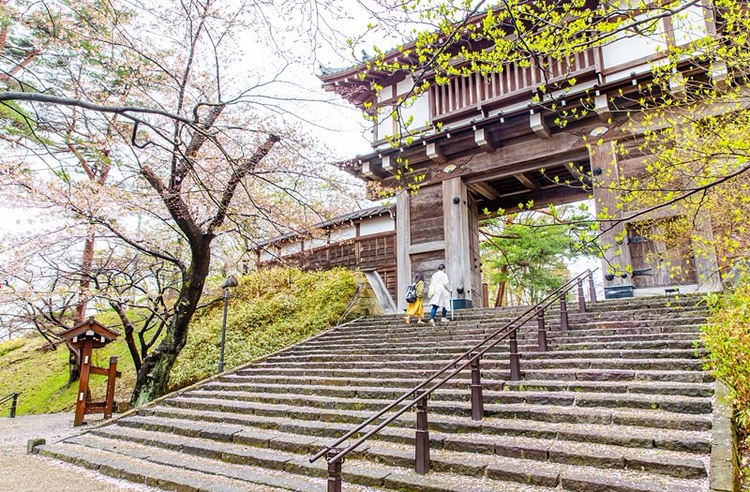 日本秋田久保田城跡 來場和櫻花 楓葉的戀愛吧 Line旅遊