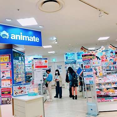 ユーザーの口コミ アニメイトマルイファミリー海老名 アニメイトマルイファミリーエビナ 中央 海老名駅 ホビー用品 By Line Place