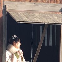 國內外優質旅遊行程分享與推薦