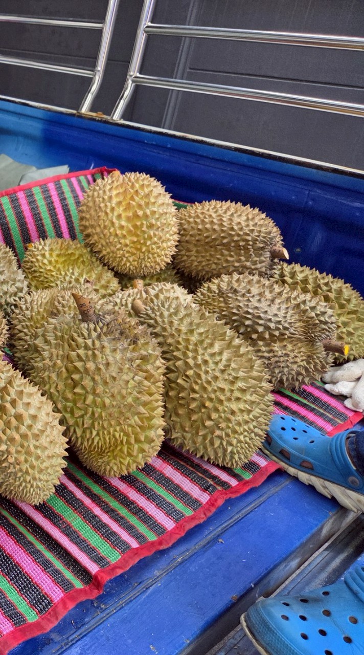 ขายของ ป่าสะแก เดิมบางนางบวช