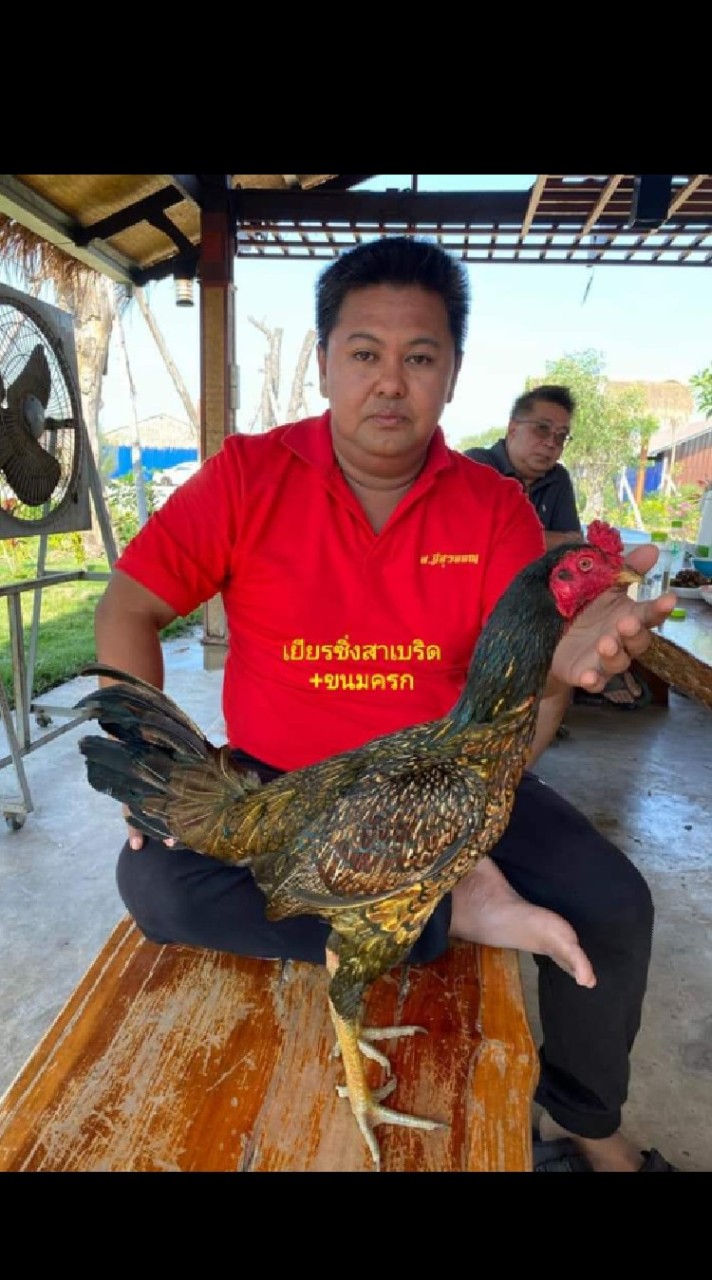 ส.มีทรัพย์ สายเลือดมีสุวรรณ เเละชุดลูกฟาร์ม150,000
