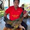 ส.มีทรัพย์ สายเลือดมีสุวรรณ เเละชุดลูกฟาร์ม150,000
