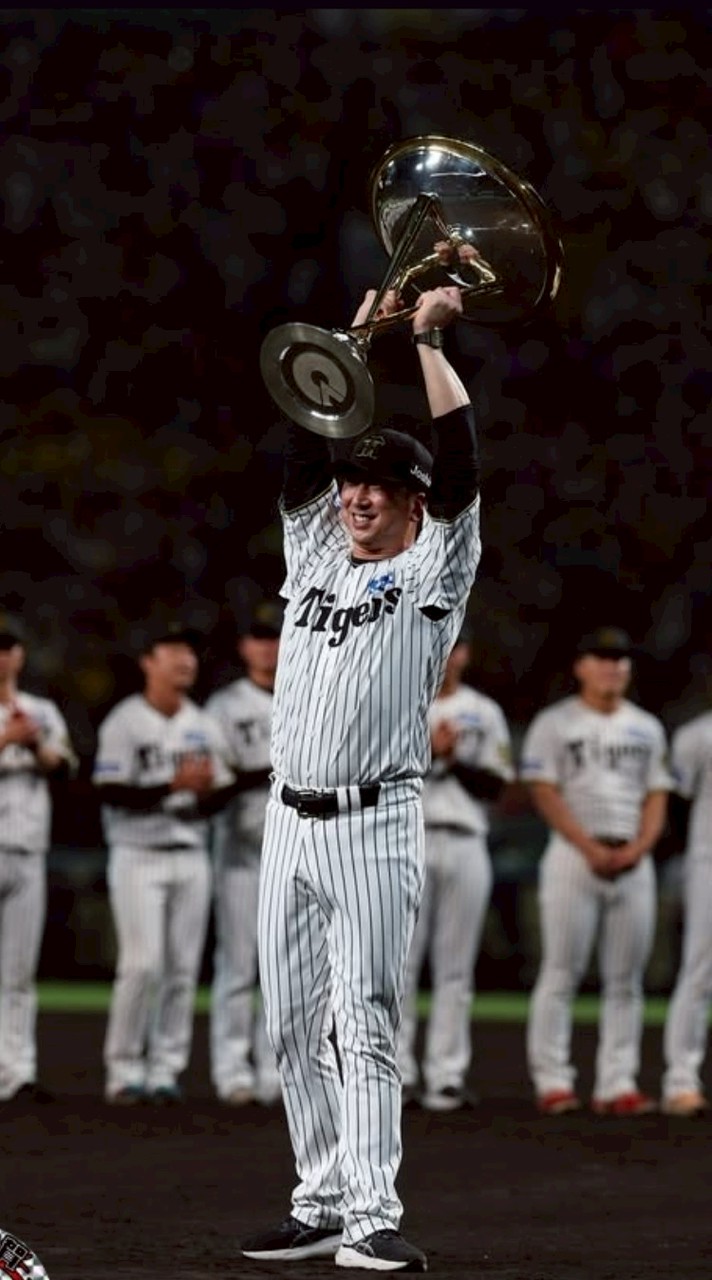 阪神タイガース　テレビ見ながら叫ぶ用