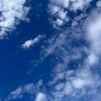 みんなで仲良くしよぉぉぉ