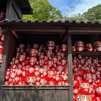四處旅遊才是人生 旅遊資訊分享