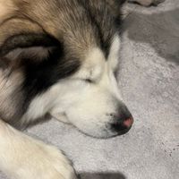 111逢甲土管系新生交流群