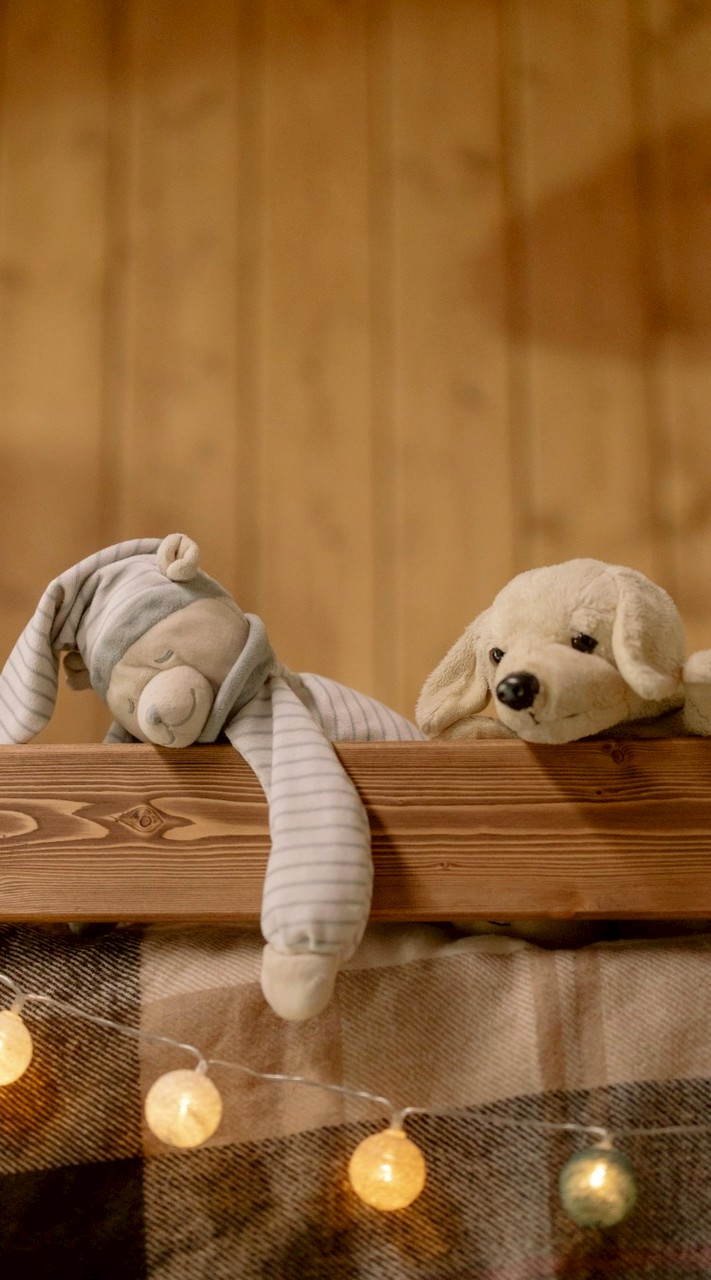 🌸桃花小宇宙🌠