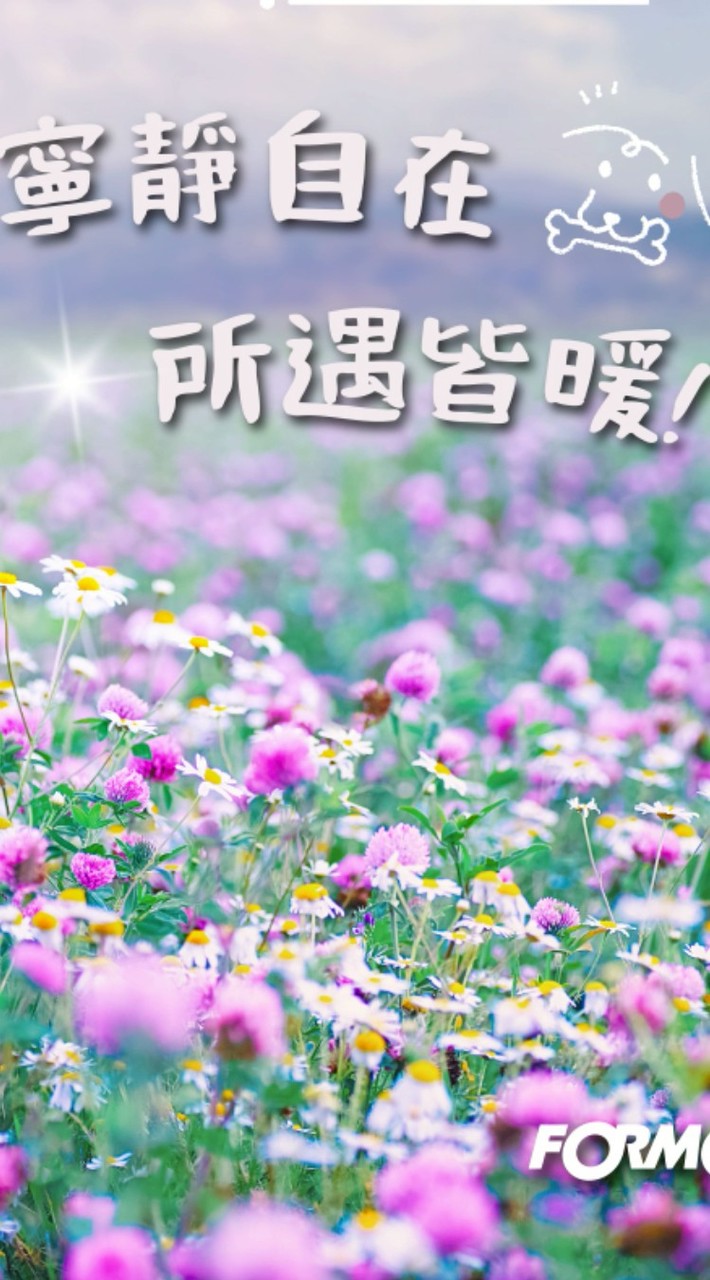 45+50+60+ 快樂小同學會