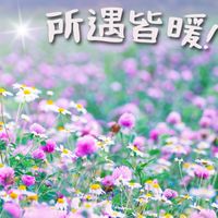 45+50+60+ 快樂小同學會