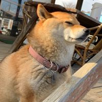 12月13日　オフトレ