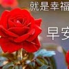 好歌聲音樂歌曲分享網