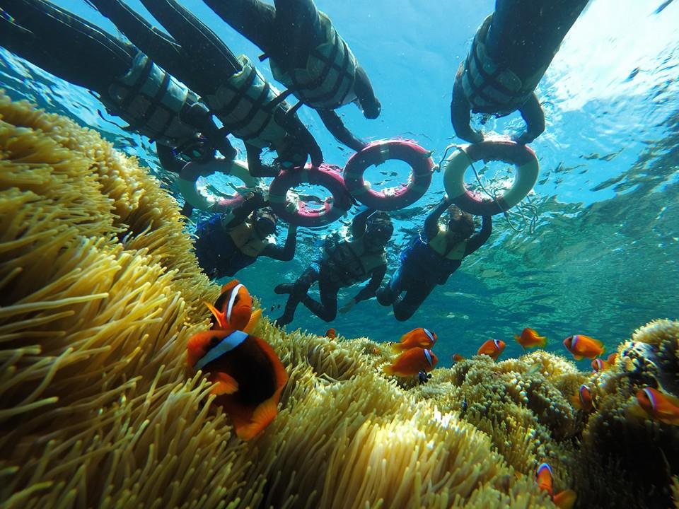 蘭嶼浮潛