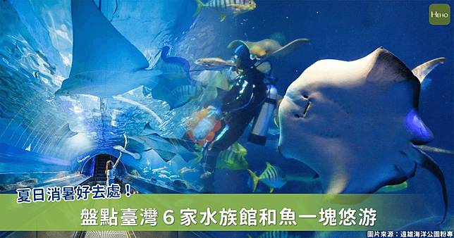 不想出門曬太陽就躲入海底吧 夏日最佳消暑聖地 水族館 Heho生活 Line Today