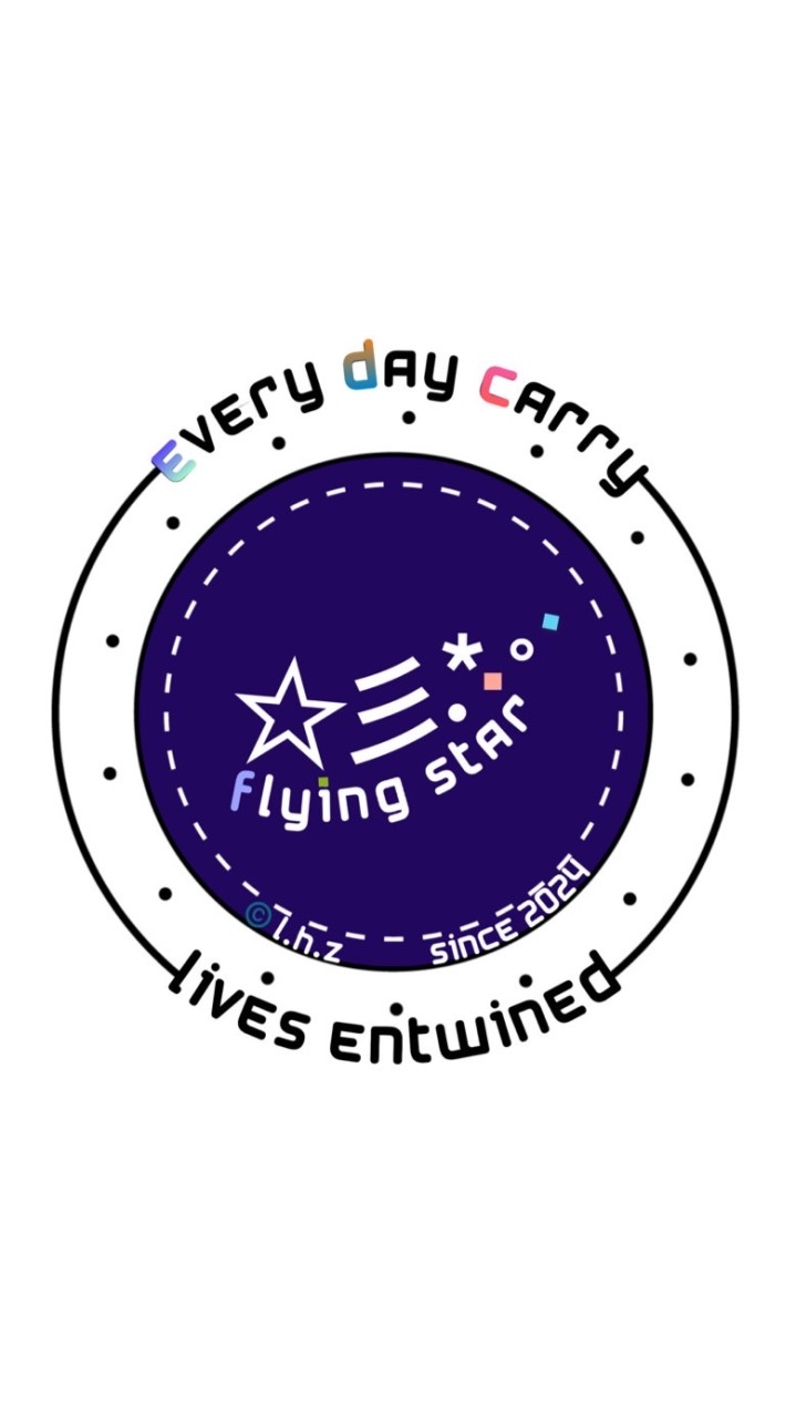 飛星★彡*･EDC
