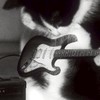 歌おうね〜🎶