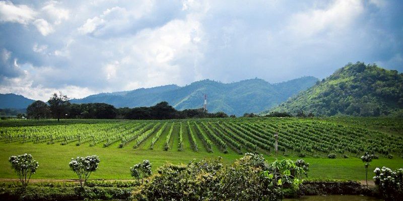 PB Valley PBValley LINE Official Account