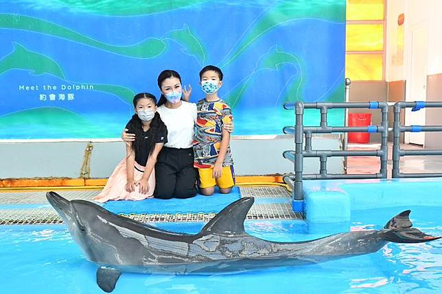 爭取時間相處金鈴帶仔女親親小動物 On Cc 東網 Line Today