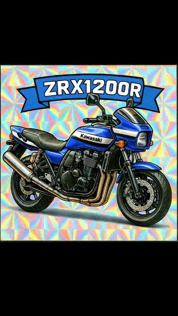 全国　ZRX1100 ZRX1200R ZRX1200daeg専用部屋