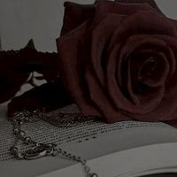 bl 男子限定 🥀