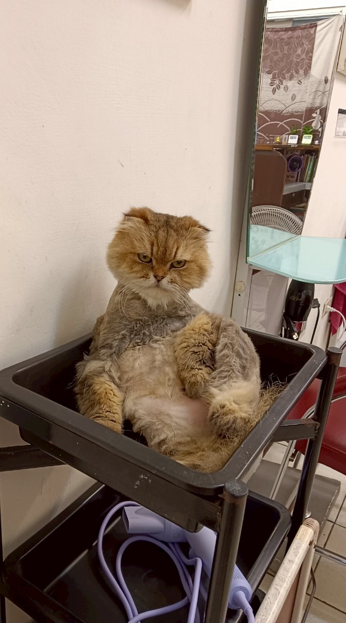 我的社群