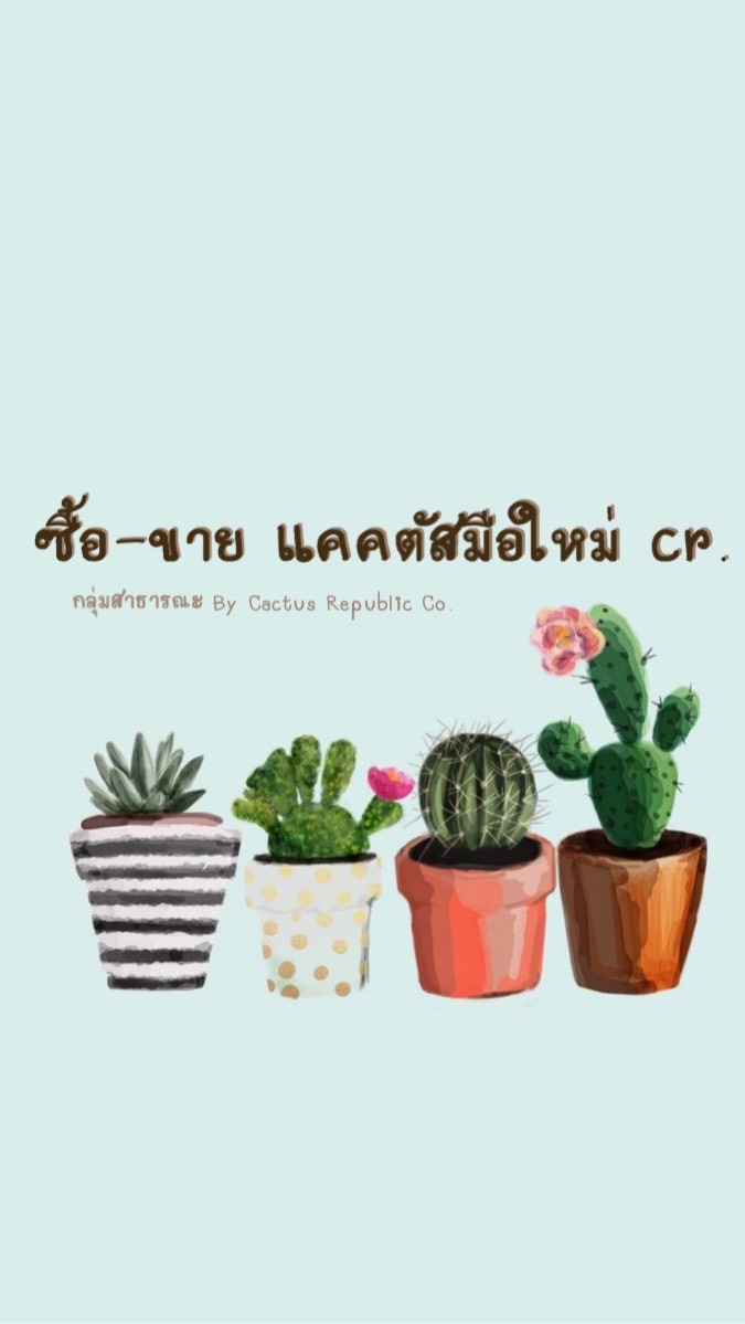 ซื้อ-ขาย แคคตัสมือใหม่ cr.🌵