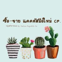 ซื้อ-ขาย แคคตัสมือใหม่ cr.🌵
