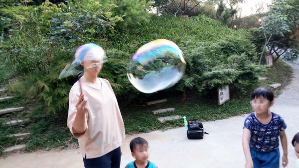 【台北景點】桃樂絲森林(穀興農場)-隱身在山凹之中免門票好玩又有趣的親子旅遊景點