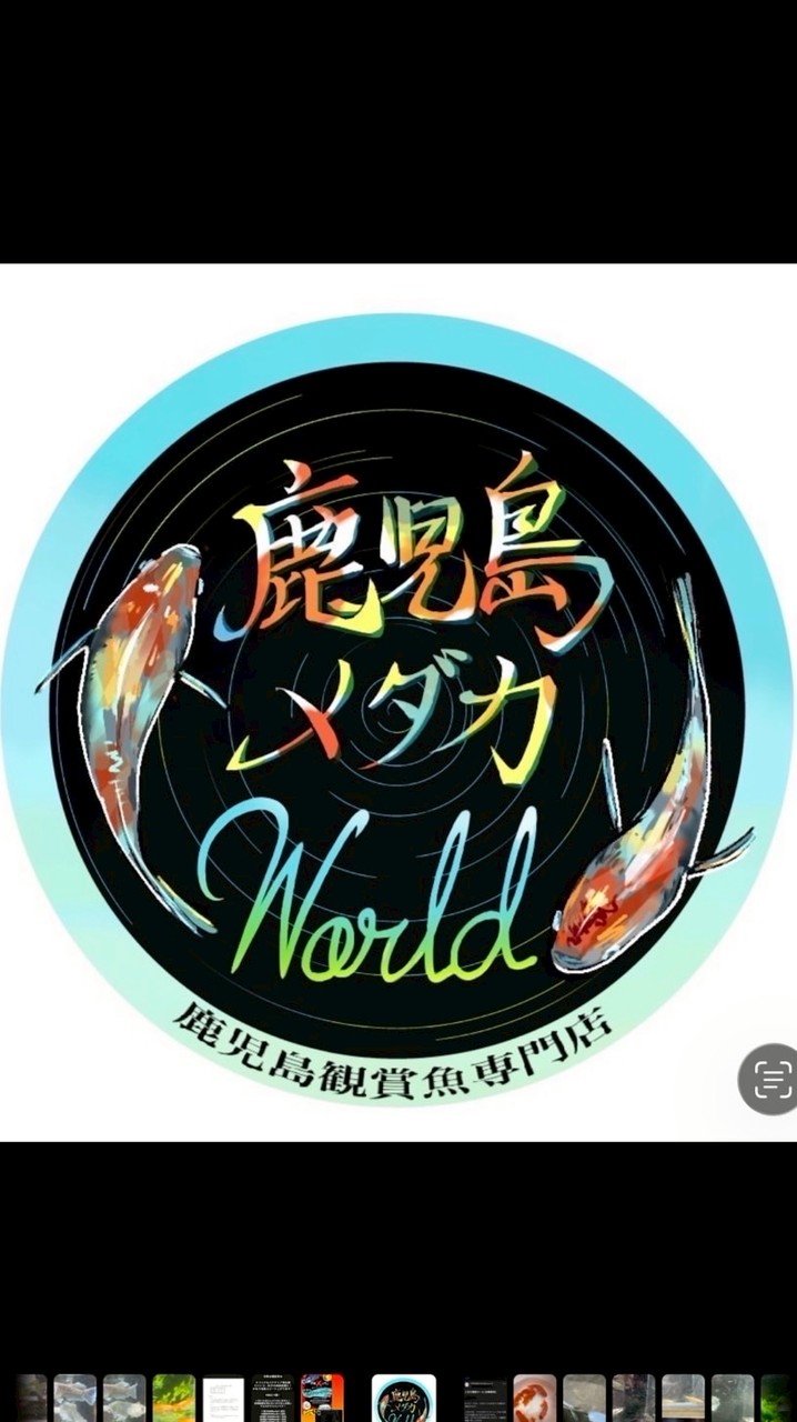 鹿児島メダカWorld販売用