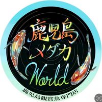 鹿児島メダカWorld販売用