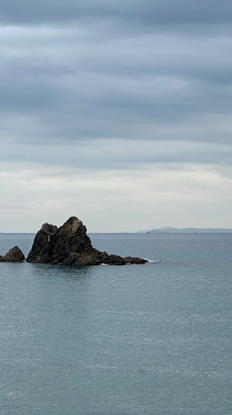 索菲婭生醫行銷顧問有限公司