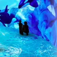 札幌狸小路「AOAO SAPPORO」水族館新開幕！體驗在市區與企鵝互動的療癒氛圍 | Japaholic
