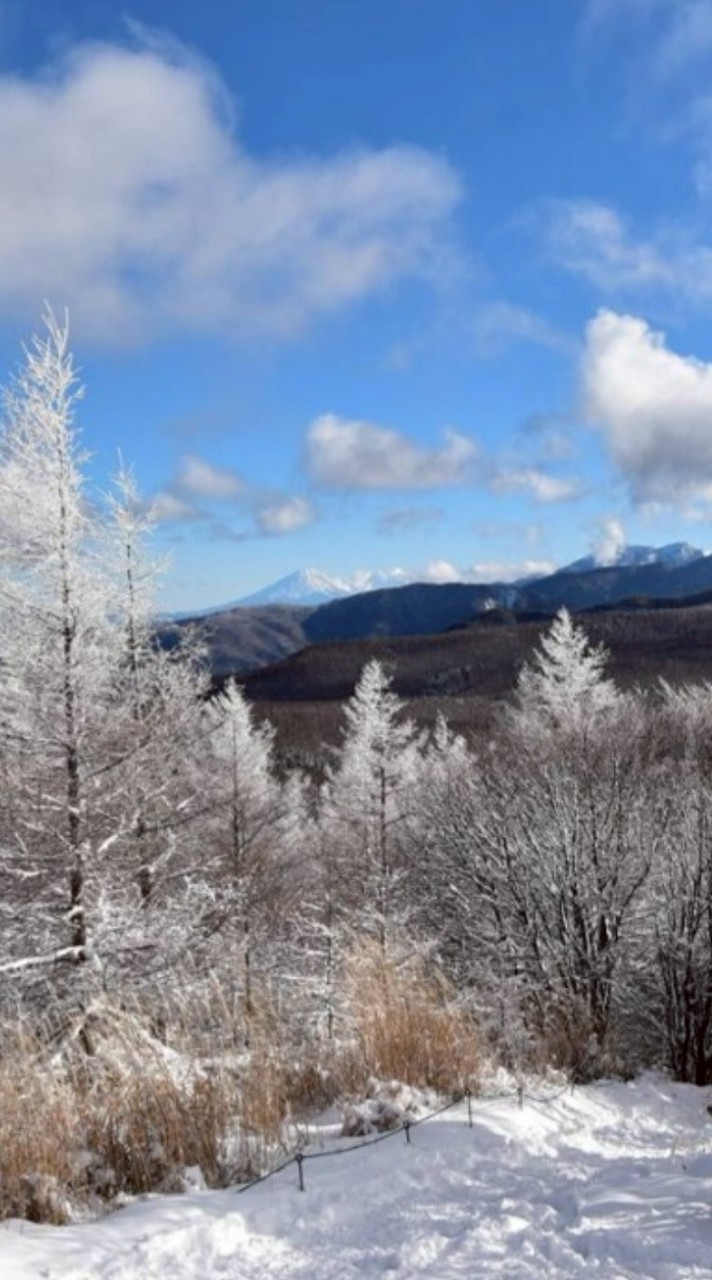 2/2 【雪山🏔️入門】入笠山