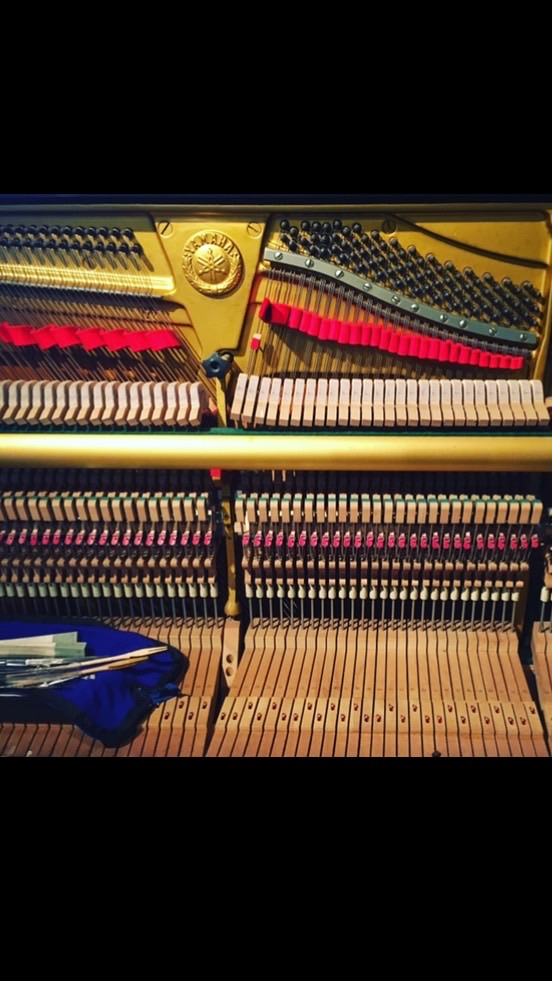 🎹ピアノなんでも相談所🎹