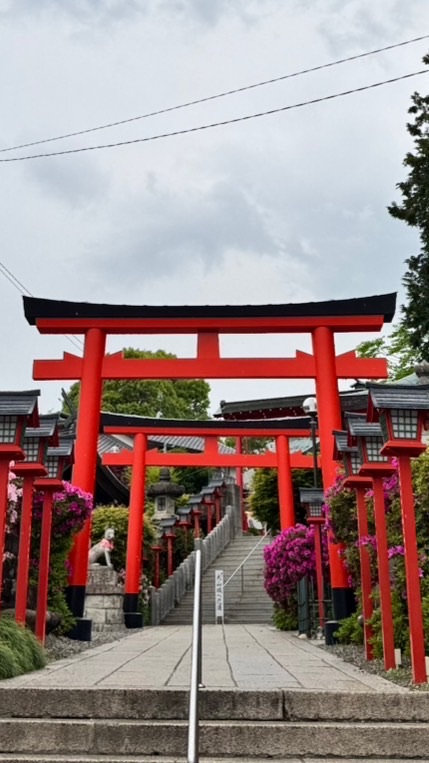 西西圖庫團主區