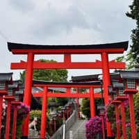 西西圖庫團主區