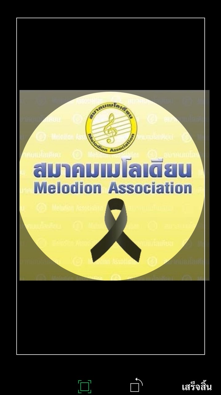 🎹(ติดต่อ) สมาคมเมโลเดียน