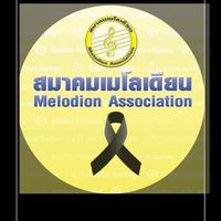 🎹(ติดต่อ) สมาคมเมโลเดียน