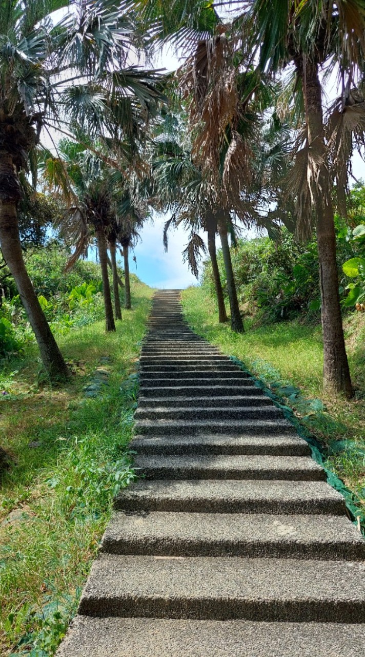 野營登山(大廳)