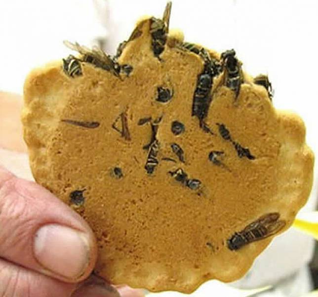 Wine Ular hingga Laba-laba Goreng, 6 Kuliner Ekstrem Ini Selain Bikin Perut Mulas, juga Merinding