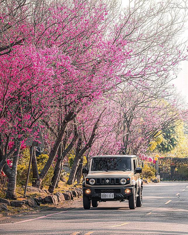 （圖片來源／IG @xuan86.05）