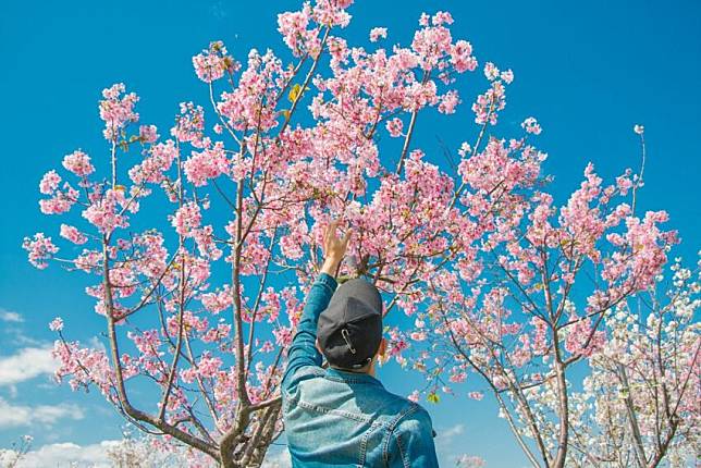 圖片授權：IG @e.chang0316