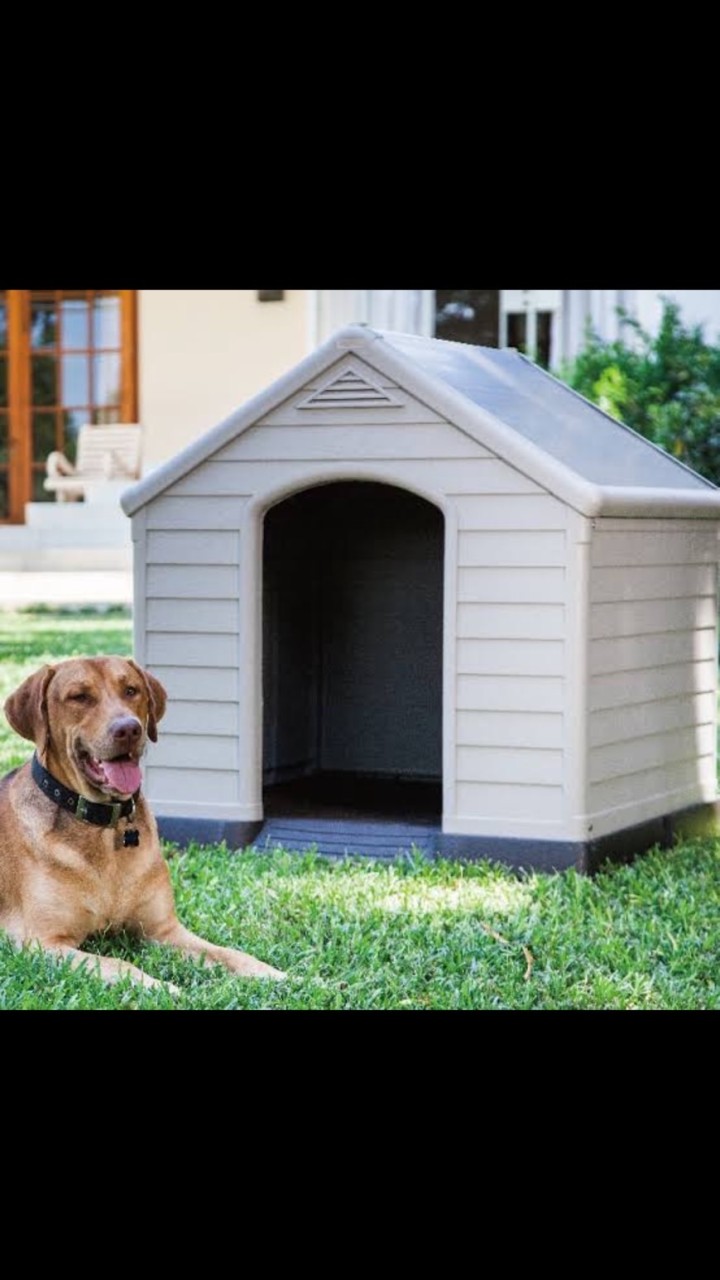 犬小屋