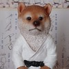 MJD（新宿で柔道）