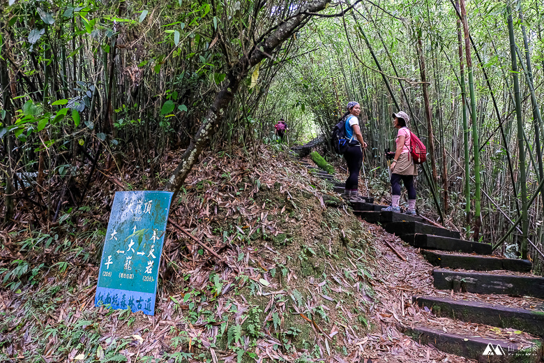 山女孩Melissa_雲嘉七連峰_獨立山_大籠頂_太平山_梨子腳山-7759.jpg