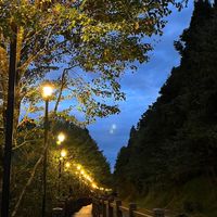 陳陳陳日本雜貨供應站