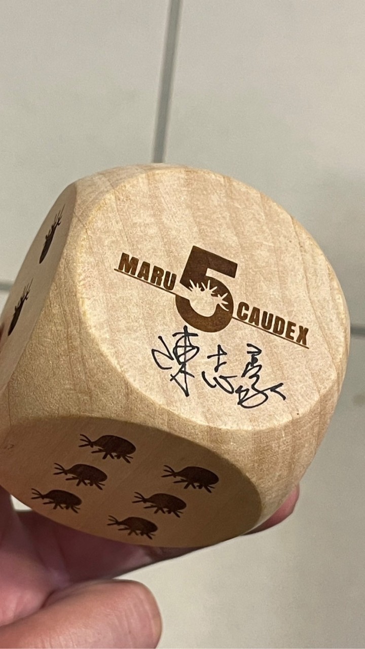 丸子5（塊根。盆器）