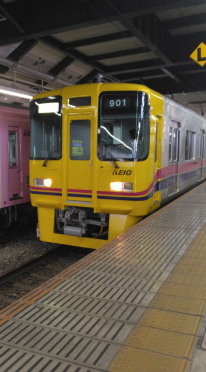 カツイスジ公開